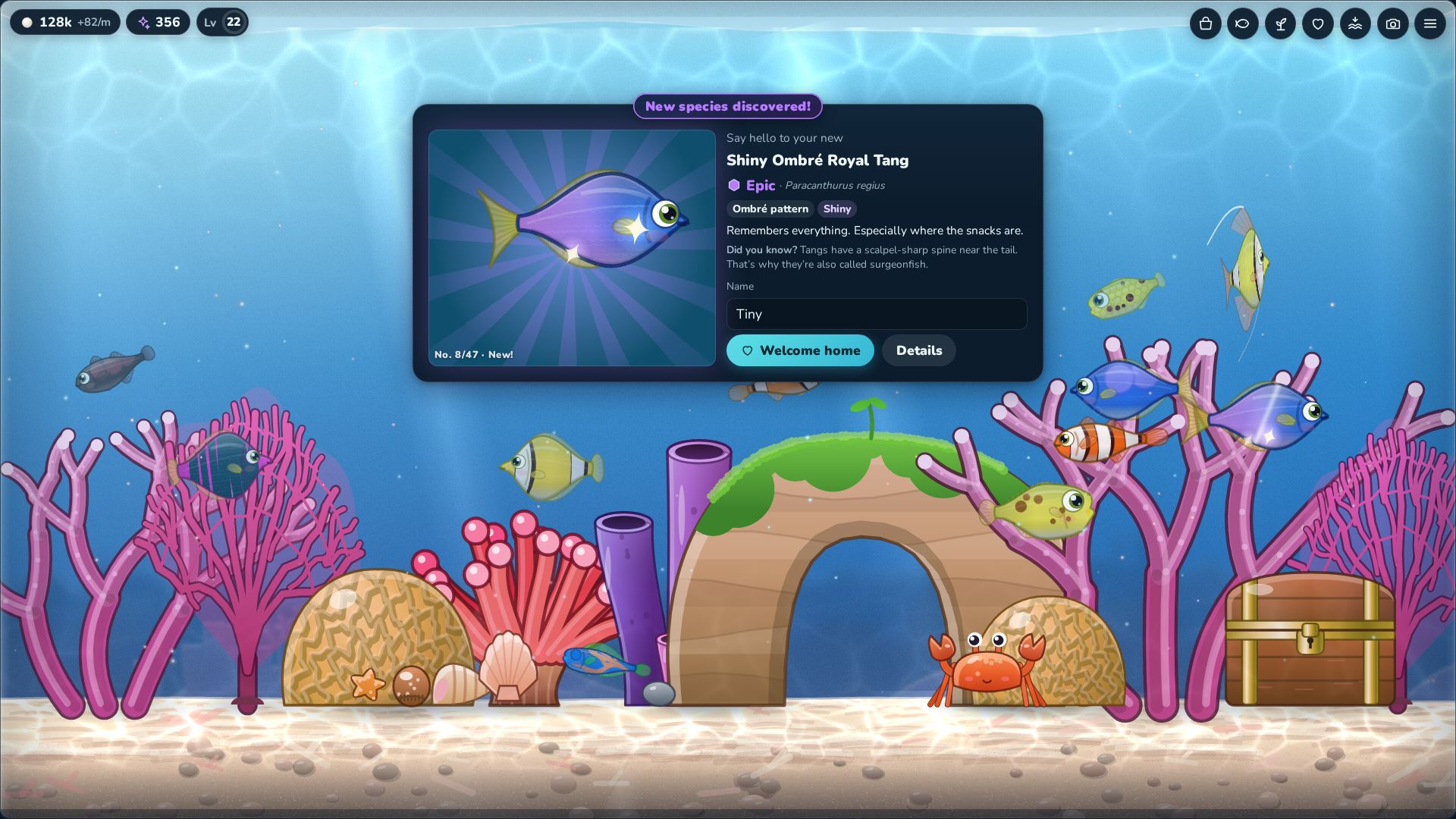 A hatch reveal card announcing a new species, a shiny ombre royal tang, with its rarity, pattern and traits.